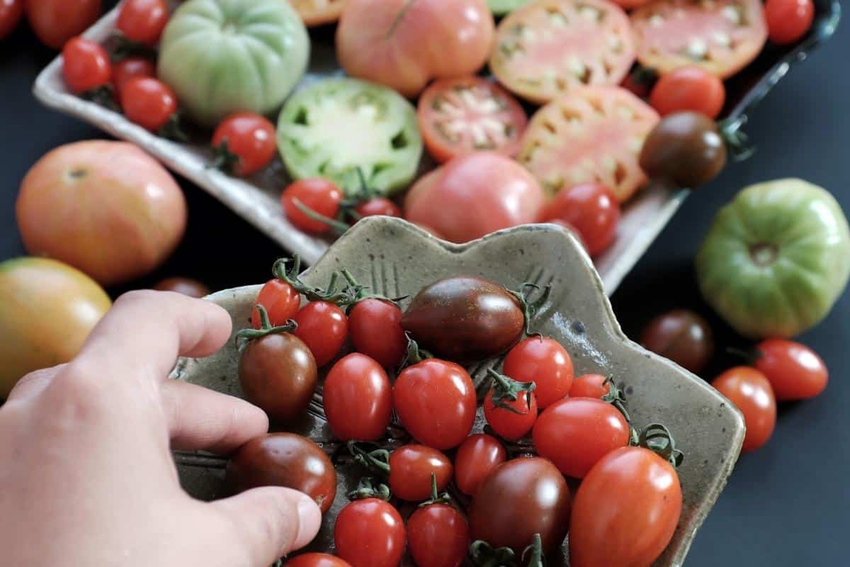 Confira agora 10 alimentos baratos que bombam sua imunidade e tenha uma dieta completa 1 Confira agora 10 alimentos baratos que bombam sua imunidade e tenha uma dieta completa