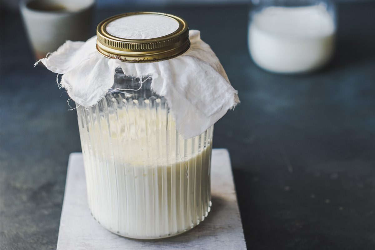 Será que consumir kefir é bom para quem treina? Descubra aqui 1 Consumir kefir é bom para quem treina?