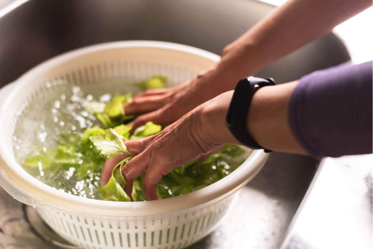 Qual a proporção de água sanitária para higienizar verduras? 1 higienizar verduras corretamente