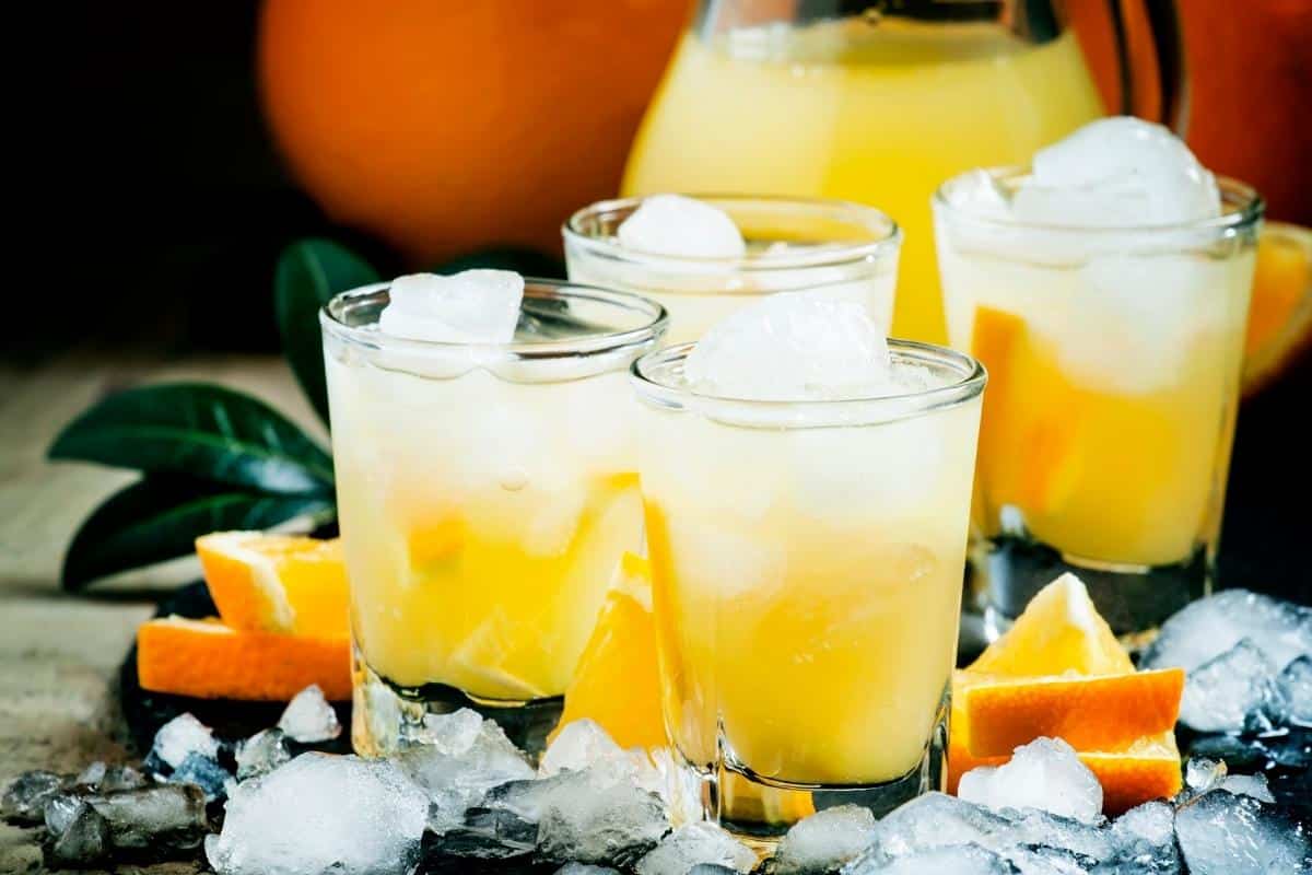 Refrigerante caseiro de laranja: faça essa delícia refrescante e saudável para os dias quentes 1 Refrigerante Caseiro de Laranja: uma delícia refrescante e saudável para os dias quentes; saiba fazer