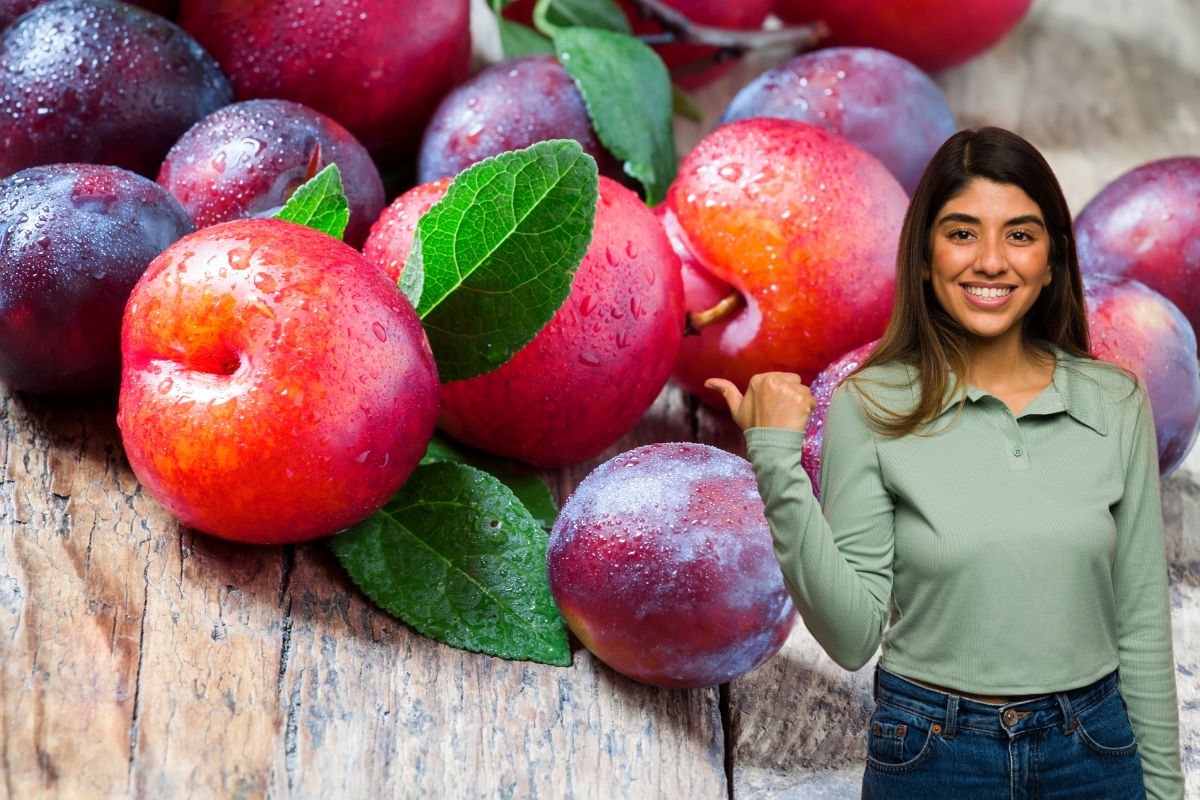 Ameixa: conheça seus benefícios, nutrientes e como consumir 1 ameixa.