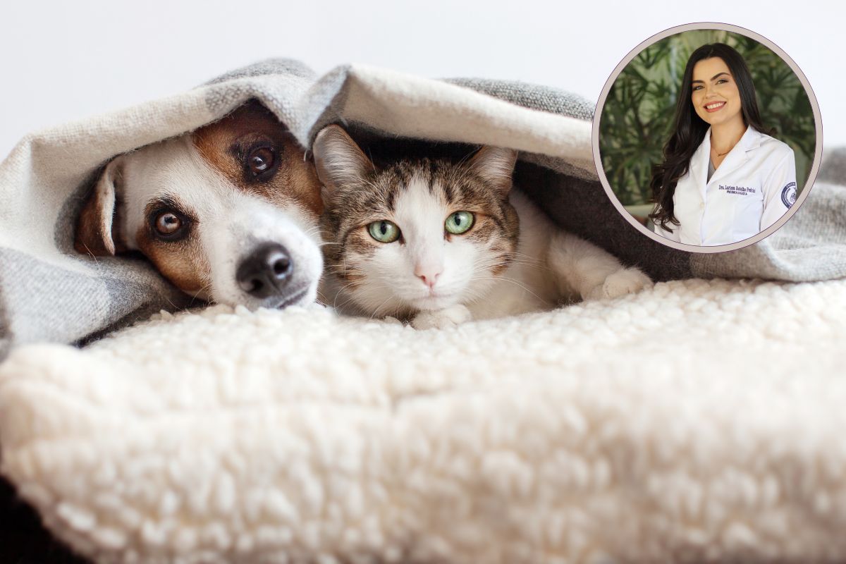 Quais os sintomas de asma? Pneumologista responde como a presença de gatos e cachorros pode influenciar 1 Quais os sintomas de asma?