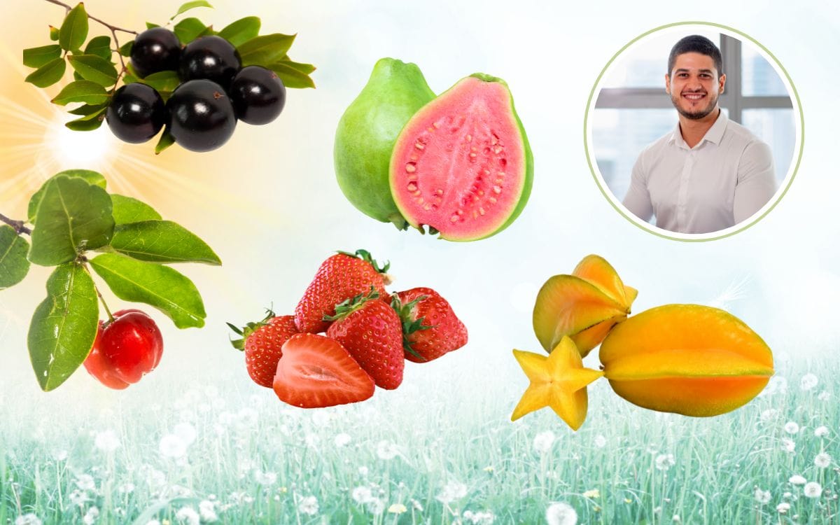 Nutricionista lista as 10 frutas da primavera no Brasil que você deveria aproveitar agora 1 frutas da primavera no Brasil.